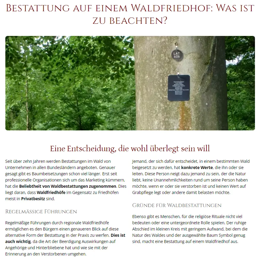 Ratgeber und Beiträge im Content-Marketing